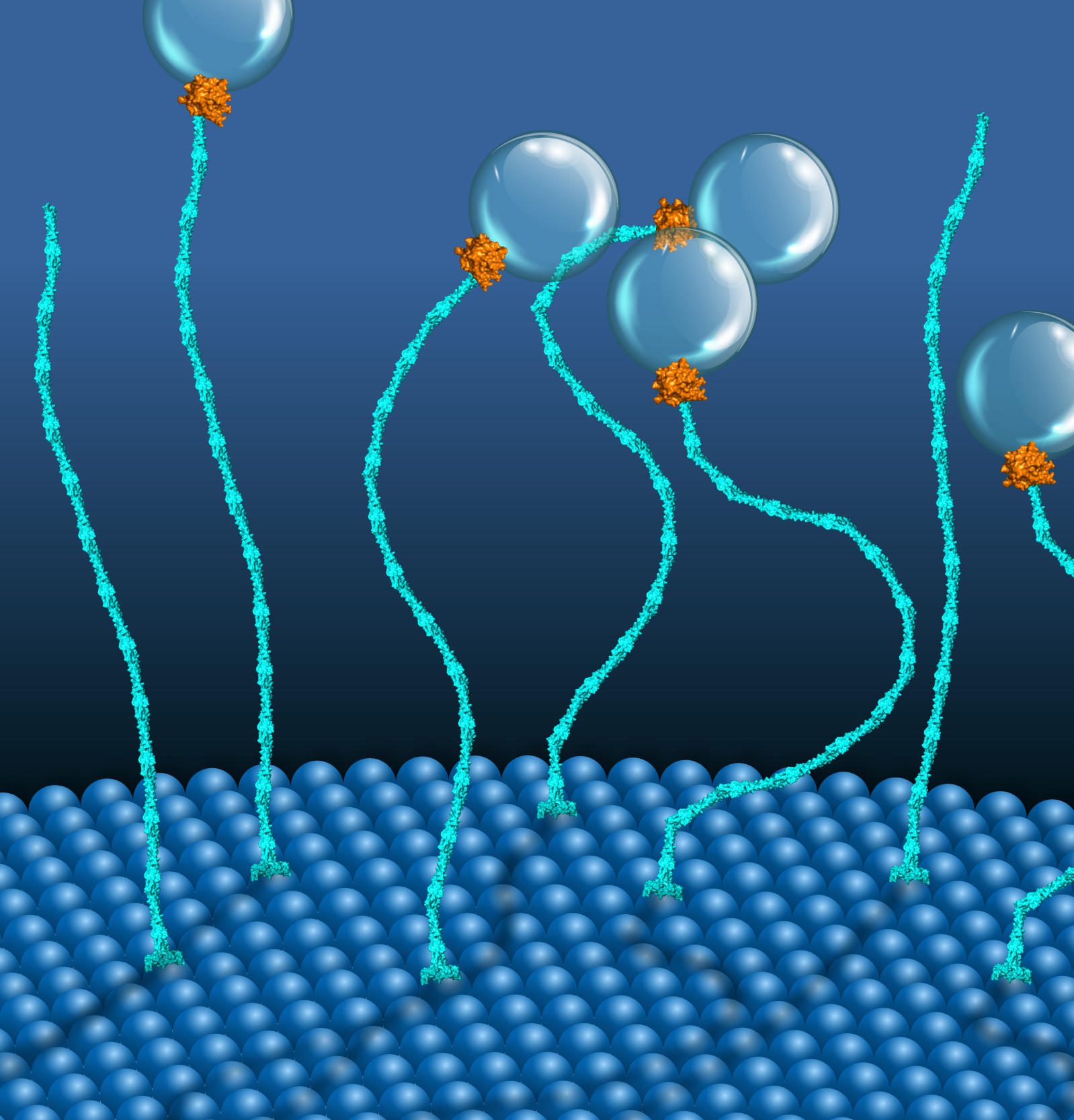 Scientists Discover a New Course of “Molecular Motors”