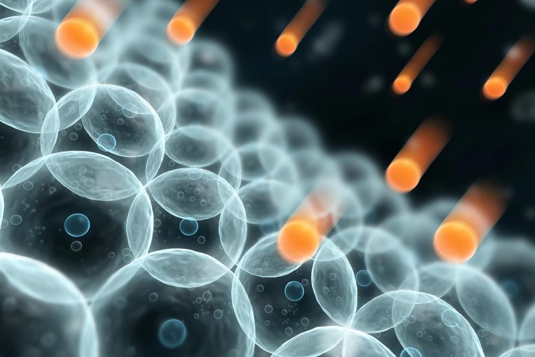 Molecule Help Cells Survive