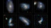 Monster Galaxies Gain Size by Consuming Smaller Neighbors