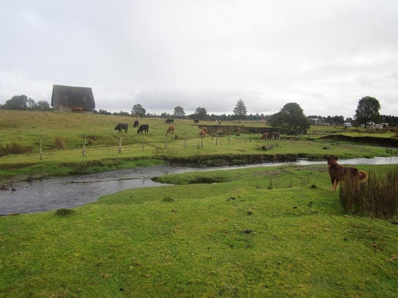 Did We Get It Wrong? New Study Challenges Timeline of First Americans