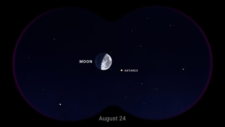 Moon Antares August 2023