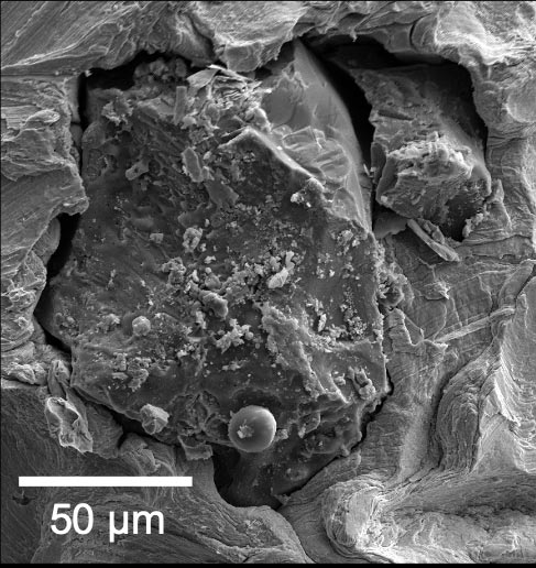 Moon Dust Under Microscope