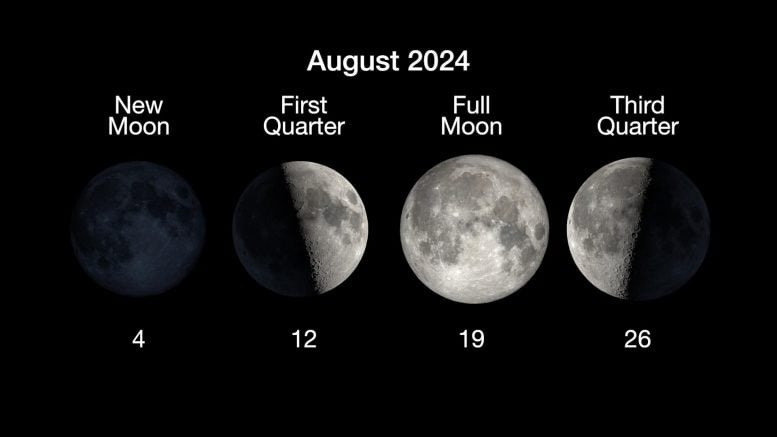 Moon Phases August 2024