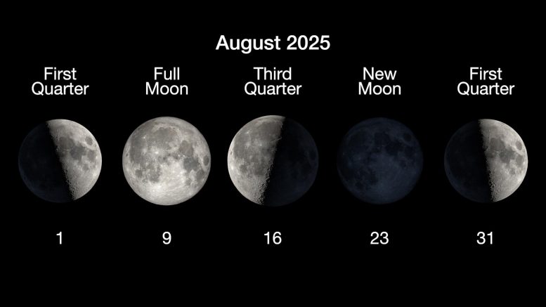 Moon Phases August 2025