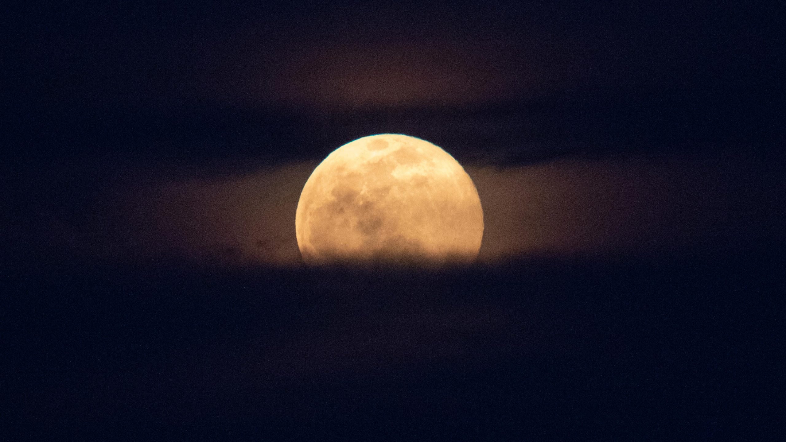Photo of The Worm Moon (et selon certaines définitions, une super lune)