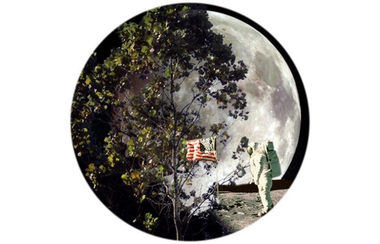 What in the World Are NASA Moon Trees?