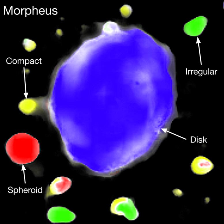 Morpheus Morphological Classification