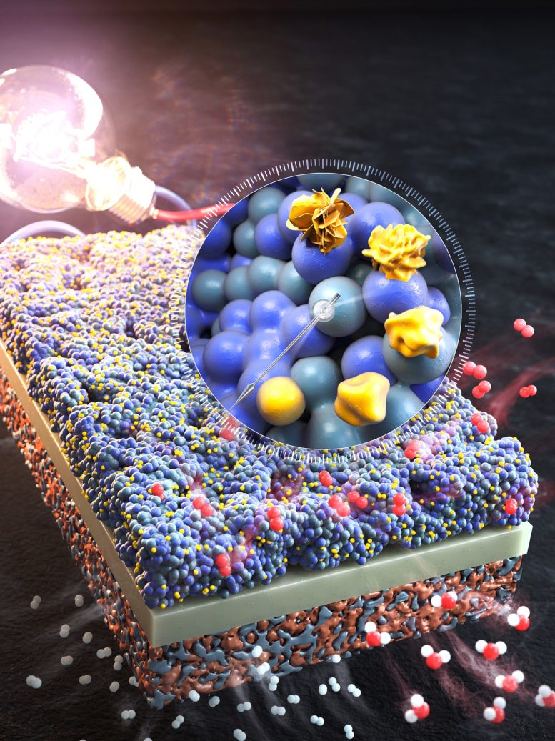 Morphology Evolution of Oxide Nano Catalyst