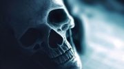 Mortality Skull
