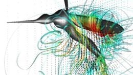 Mosquito Wing Flapping Facilitates Flight and Flirting