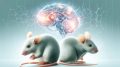 Mouse Rat Brain Art Concept