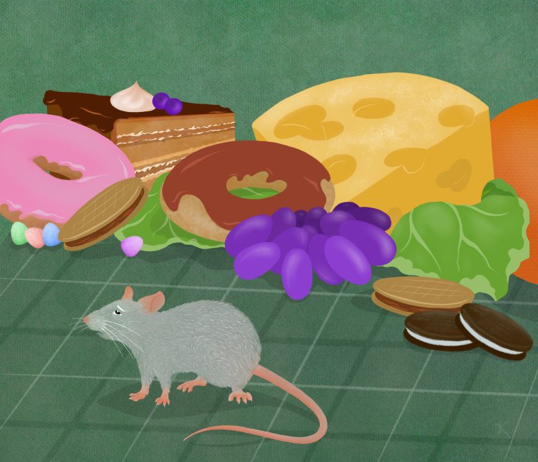 Mouse and Appetite Illustration