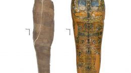 Mud Carapace Mortuary Treatment Egyptian Mummy