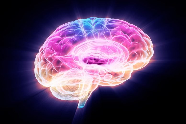 Multi Color Brain Glow