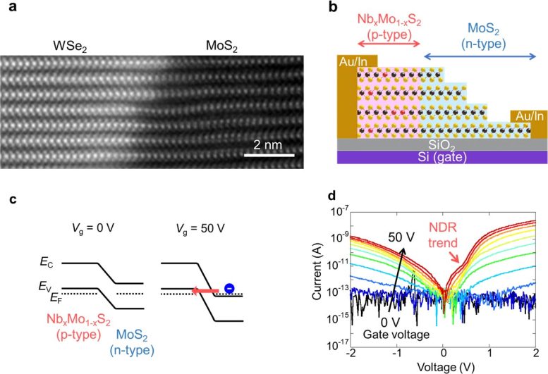 Multi-Layered TMDC Heterostructures and Their Electronic Properties