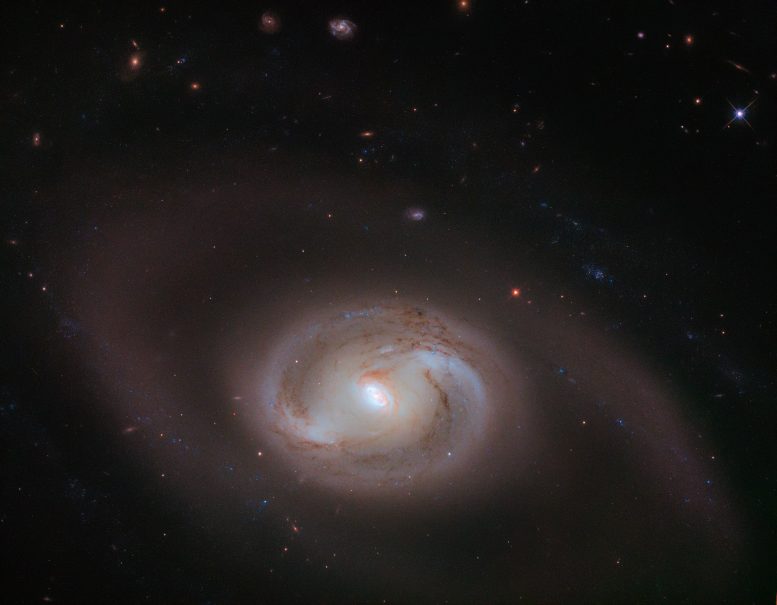 Multi Ring Galaxy NGC 2273