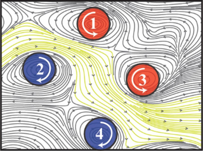 Multiple Interacting Spirals Organise Brain Activity Flow