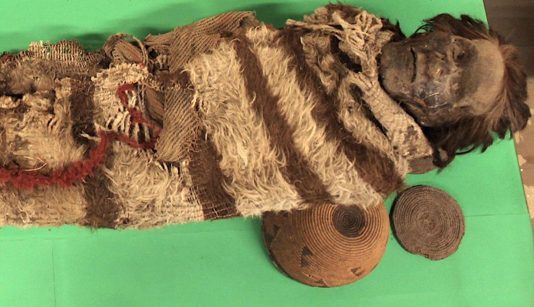 Mummified Ansilta Remains