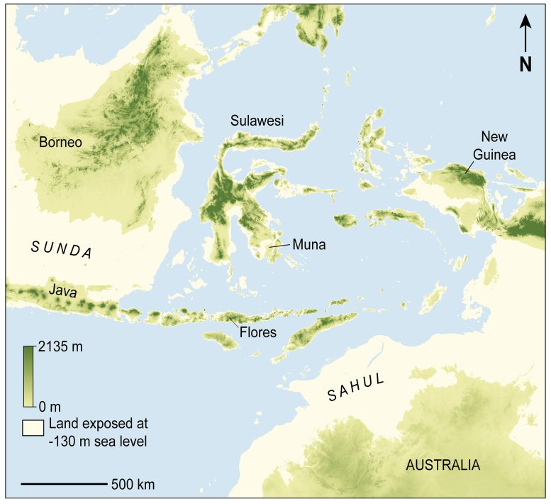 Muna Map