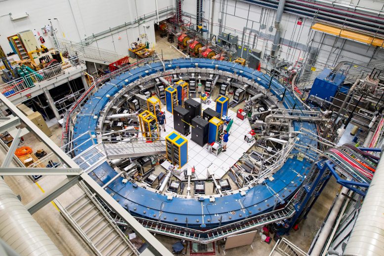 Esperimento Muon g-2 al Fermilab