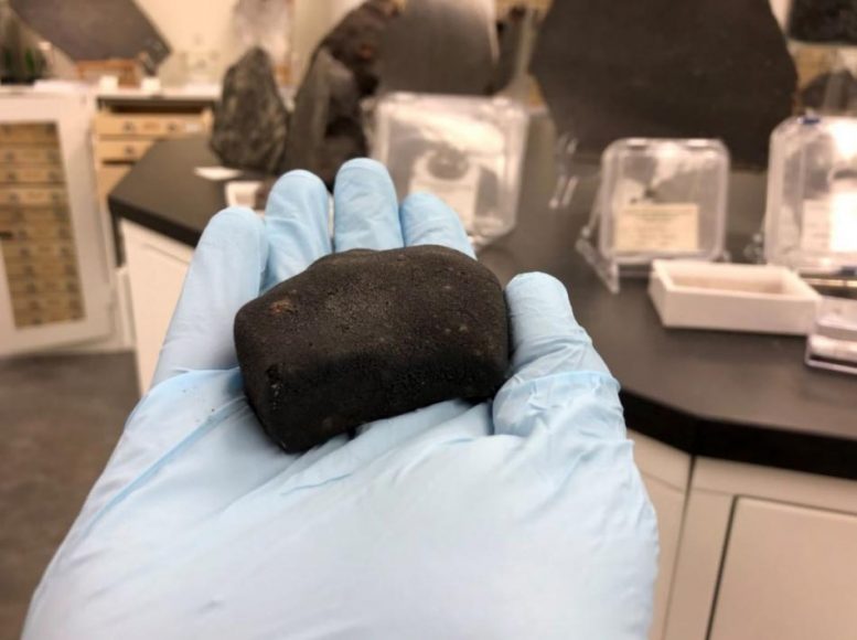 Murchison Meteorite Piece