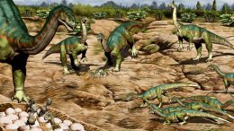 Mussaurus patagonicus Dinosaur Nesting Site
