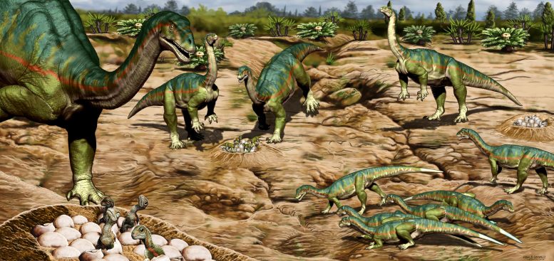 Sitio de anidación de dinosaurios Mussaurus patagonicus