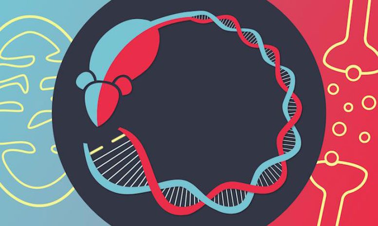 Mutation Links Bipolar Disorder to Mitochondrial Disease