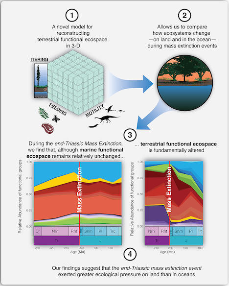 Mysteries of Earth’s Ancient Mass Extinction Event Revealed Study Graphic