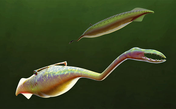 Mystery of the Tully Monster Solved