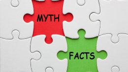 Myth Facts Puzzle
