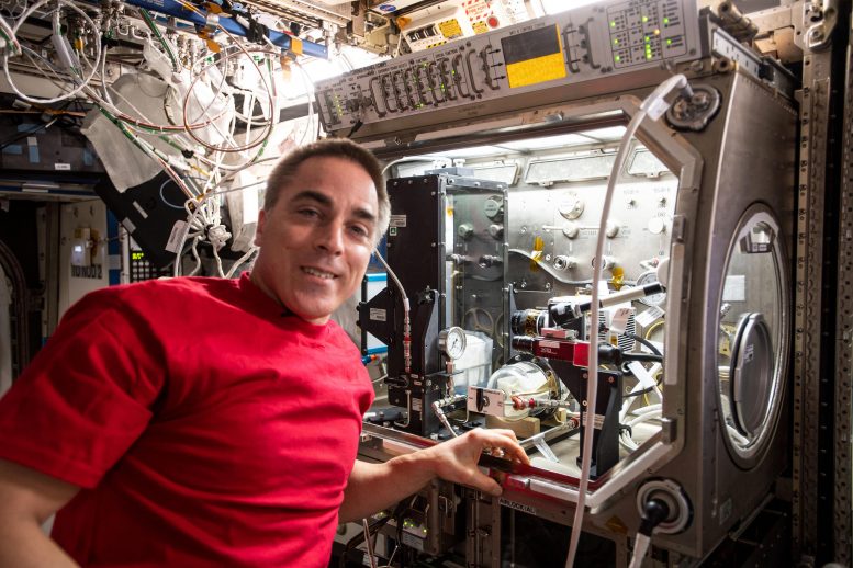 NASA Astronaut Chris Cassidy Fluid Research