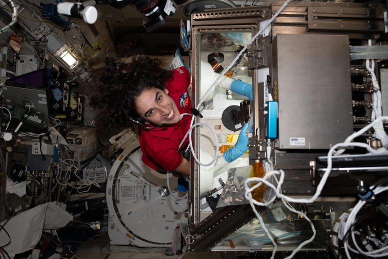 NASA Astronaut Jasmin Moghbeli Processes Liver Stem Cell Samples