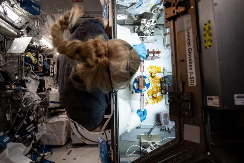 NASA Astronaut Kate Rubins Cardinal Heart Tissue Chip