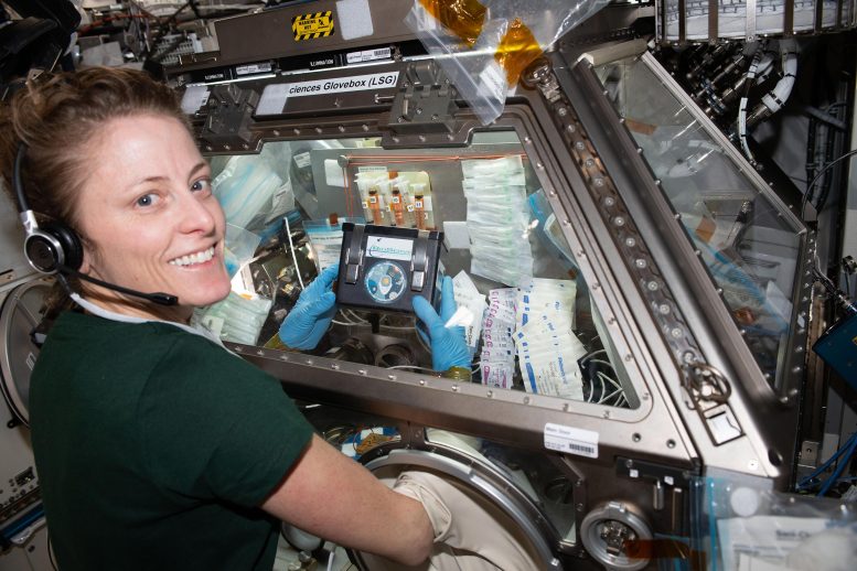 NASA Astronaut Loral O’Hara Treats Brain Cell-Like Samples