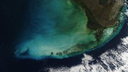 NASA MODIS Florida Keys Algal Blooms