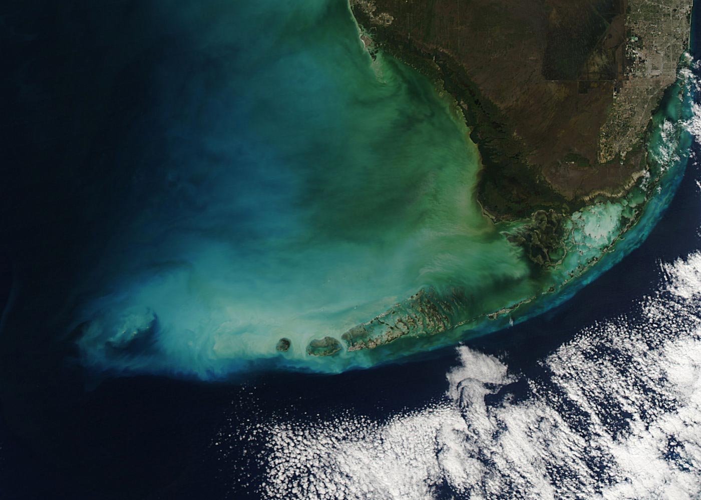 Harmful Algae Alert: NASA Tests New TROPOMI Tool for Tracking Algal Blooms