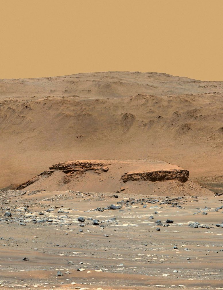 NASA Perseverance Mars Rover Kodiak