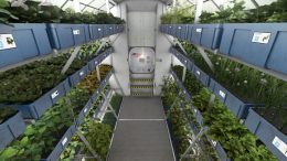 NASA Plans to Grow Food on Spacecrafts and on Other Planets