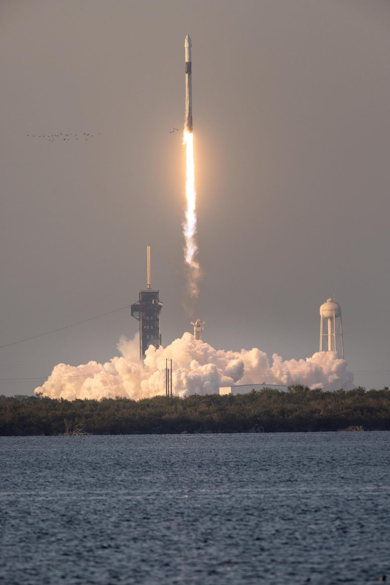 NASA SpaceX Crew-10 Lift Off