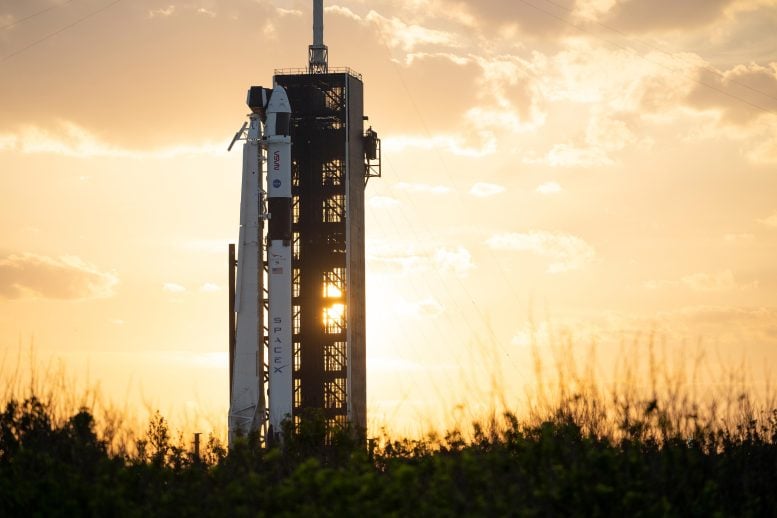 NASA SpaceX Crew-6 Falcon 9 Sunset