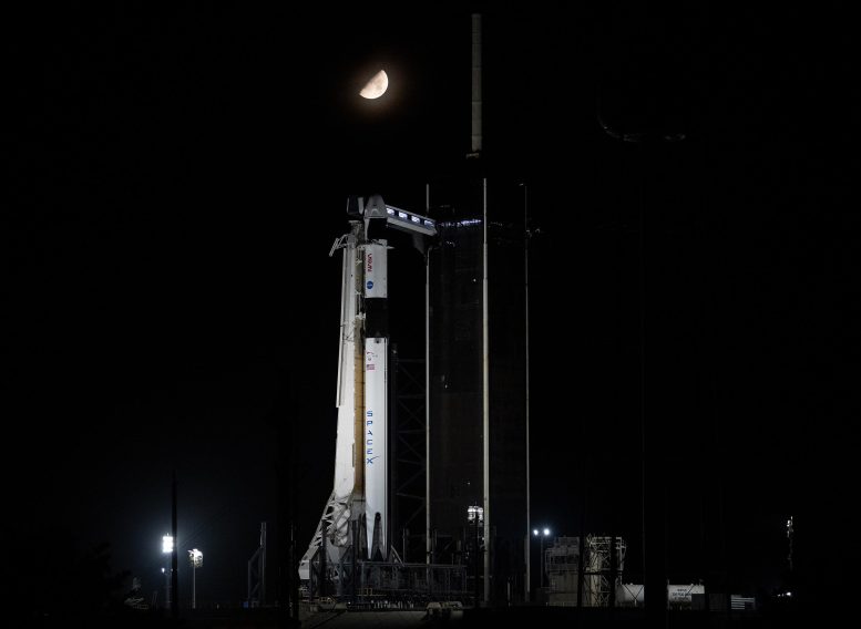 NASA SpaceX Falcon 9 Crew-7 Preflight