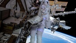 NASA Spacewalker Raja Chari