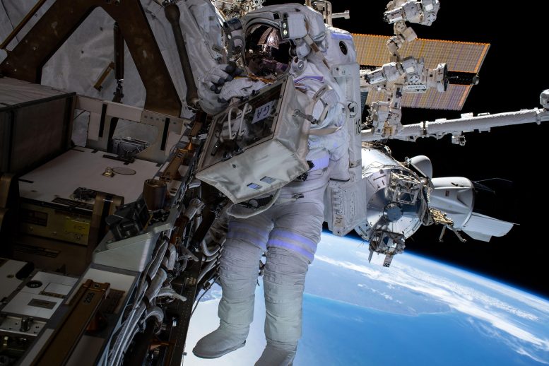 NASA Spacewalker Raja Chari
