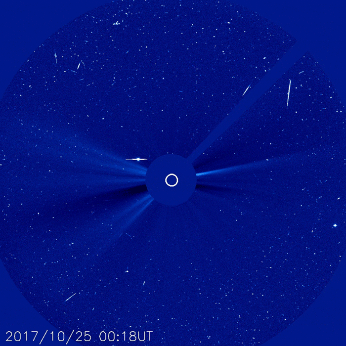 NASA Spots Comet 96P