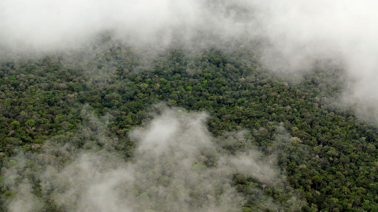 NASA Study Shows the Amazon Makes Its Own Rainy Season