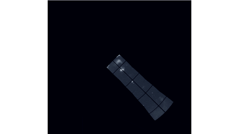 NASA TESS Southern Sky Animation
