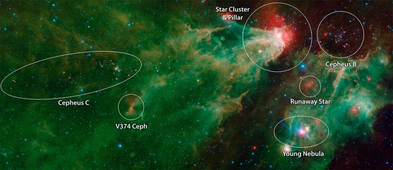 NASA's Spitzer Captures Amazing Stellar Family Portrait