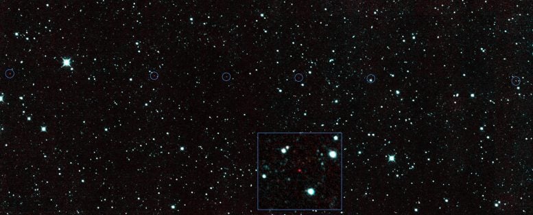 NEOWISE Six Sequential NEO Detections