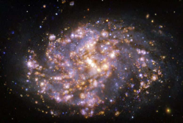 NGC 1087 MUSE